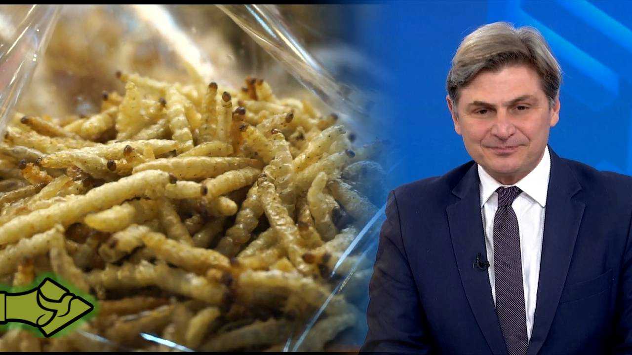 ΟΧΙ ΣΤΑ ΕΝΤΟΜΑ στο πιάτο μας! Ο Φαραντούρης ΞΕΣΠΑ κατά Κομισιόν στην Ευρωβουλή!