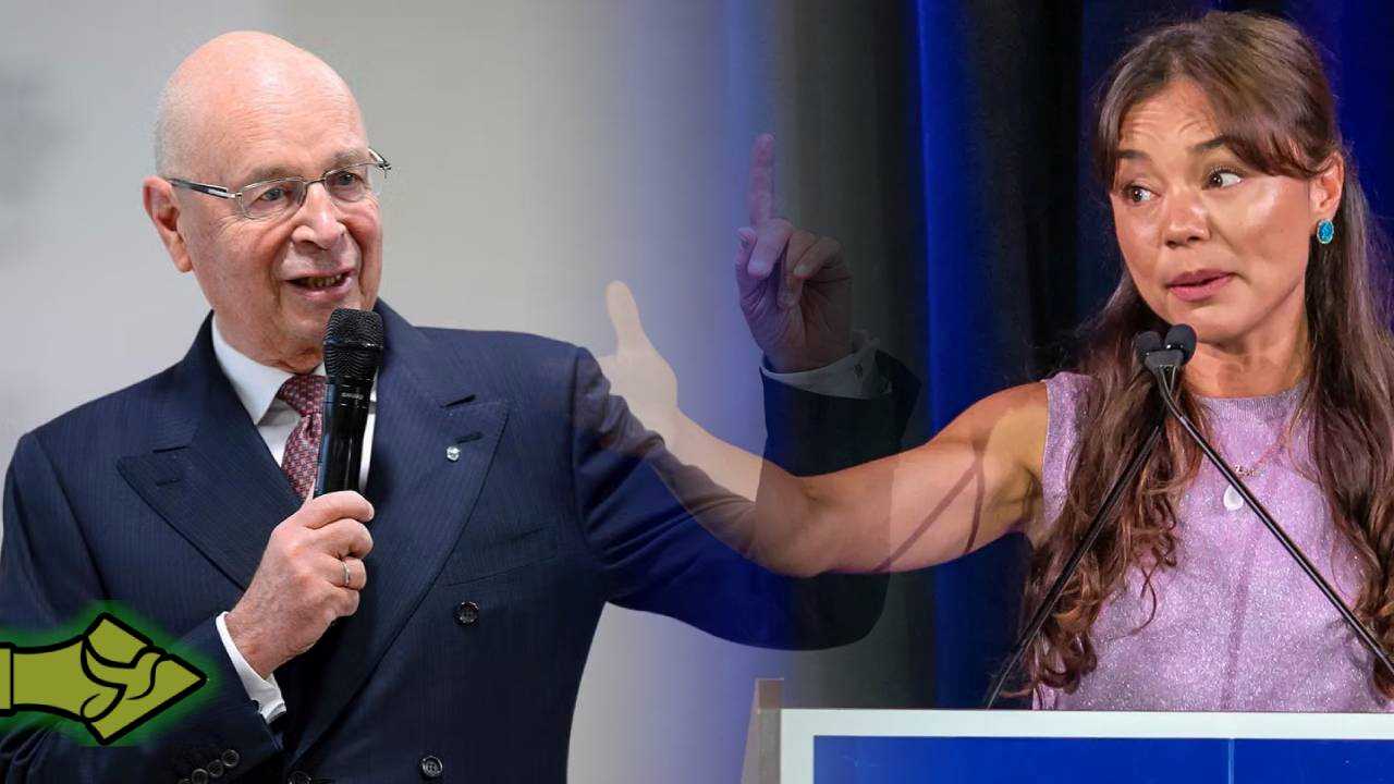 SHANAHAN: «Ήμασταν …χρήσιμες ηλίθιες του Σβάμπ!»