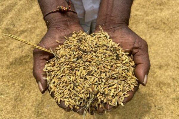 Η εσκεμμένη επισιτιστική κρίση