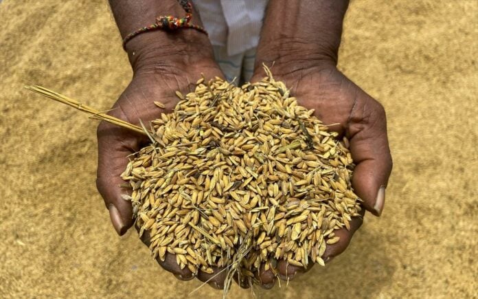 Η εσκεμμένη επισιτιστική κρίση