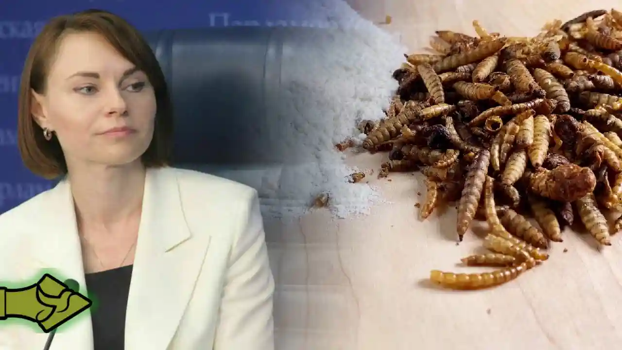 Ρωσία κατά Ε.Ε.: «Δεν θα φάμε έντομα ποτέ!» – Σκληρή απάντηση στο σχέδιο των Βρυξελλών