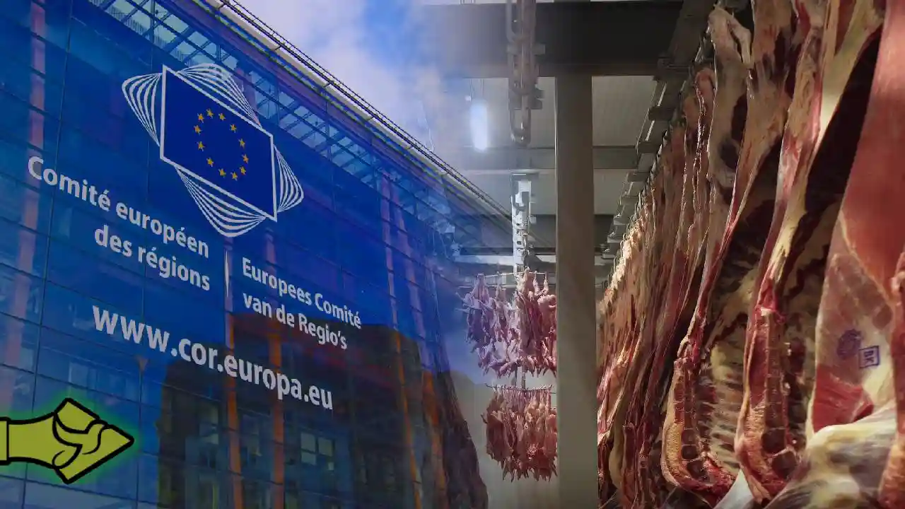 ΕΕ – Αυστραλία: Νέα συμφωνία που απειλεί τους Ευρωπαίους αγρότες – Βόμβα με το βόειο κρέας