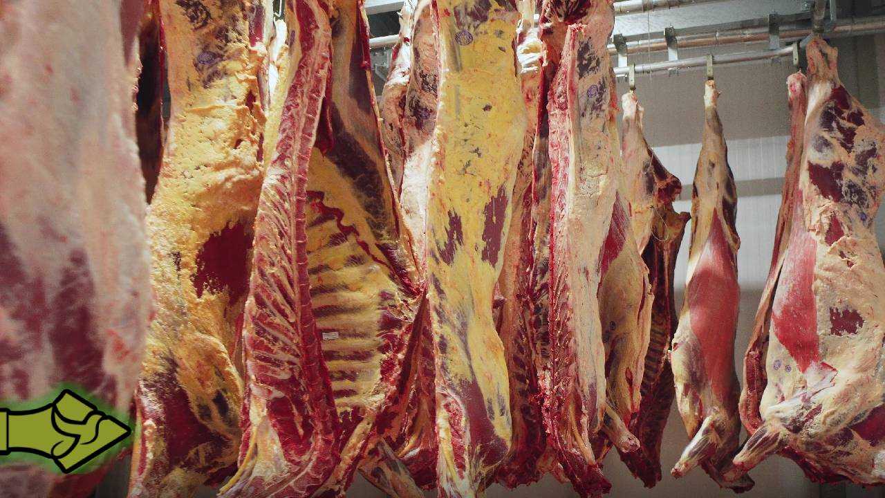 Βόμβα νε Βραζιλιάνικο κρέας στην Ε.Ε. – Απαγορευμένη ορμόνη κυκλοφόρησε στην αγορά!