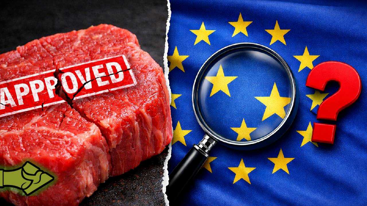 62.000 κιλά Βραζιλιάνικο κρέας με ορμόνες στην Ε.Ε. – Που είναι οι «αυστηροί έλεγχοι»;