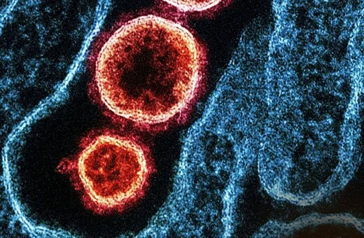 Ο Andes virus ΚΑΙ ΤΟ ΓΝΩΡΙΜΟ ΕΡΓΟ ΤΗΣ ΠΡΟΠΑΓΑΝΔΑΣ ΤΟΥ ΤΡΟΜΟΥ 